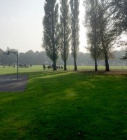 Field